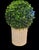 Chelsea House Inc Vintage Ceramic Faux Bamboo White Regency Style Planters Cache Pots- A Pair For Sale - Image 4 of 8