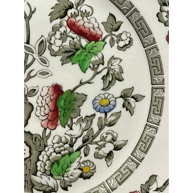 Ceramic 1940s Ridgway “Indian Tree” China Plate For Sale - Image 7 of 11