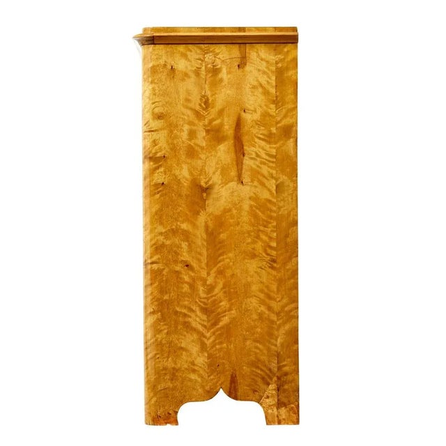 Gustavian (Swedish) 19th Century Swedish Birch Cupboard, 1860s For Sale - Image 3 of 11