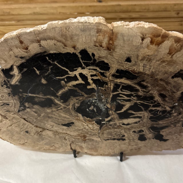 Contemporary Live Edge Petrified Wood H For Sale - Image 3 of 9