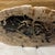 Contemporary Live Edge Petrified Wood H For Sale - Image 3 of 9