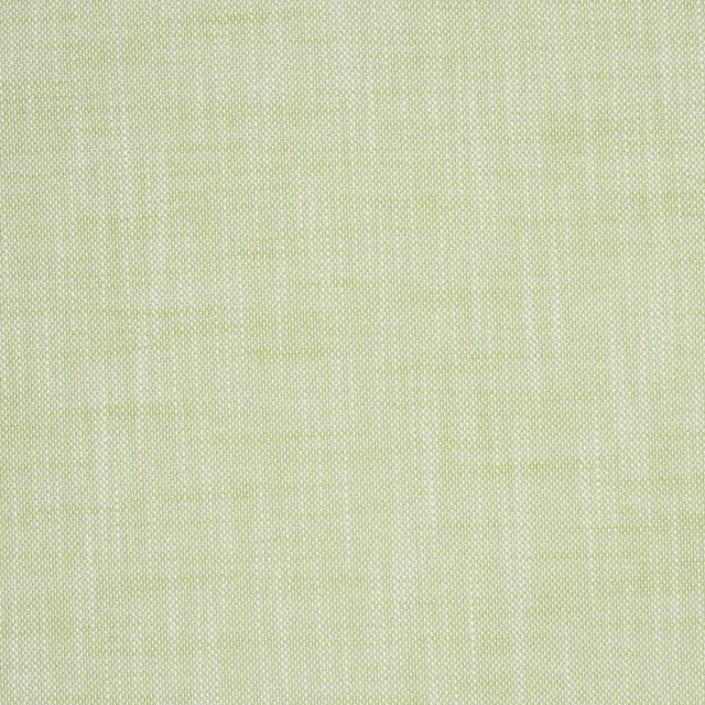 Contemporary SAMPLE - Schumacher Sasha Indoor/Outdoor Fabric In Green For Sale - Image 3 of 3