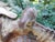 Cast Iron Birdbath, 1990s For Sale - Image 12 of 17