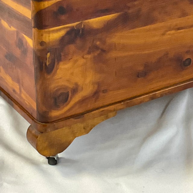 Late 1800s Antique Americana Revival Hand Crafted Cedar Chest With Brass Banding For Sale - Image 12 of 12