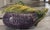 VIETRI LastCHANCE!Italian Majolica Style Eggplant Tureen For Sale - Image 4 of 12