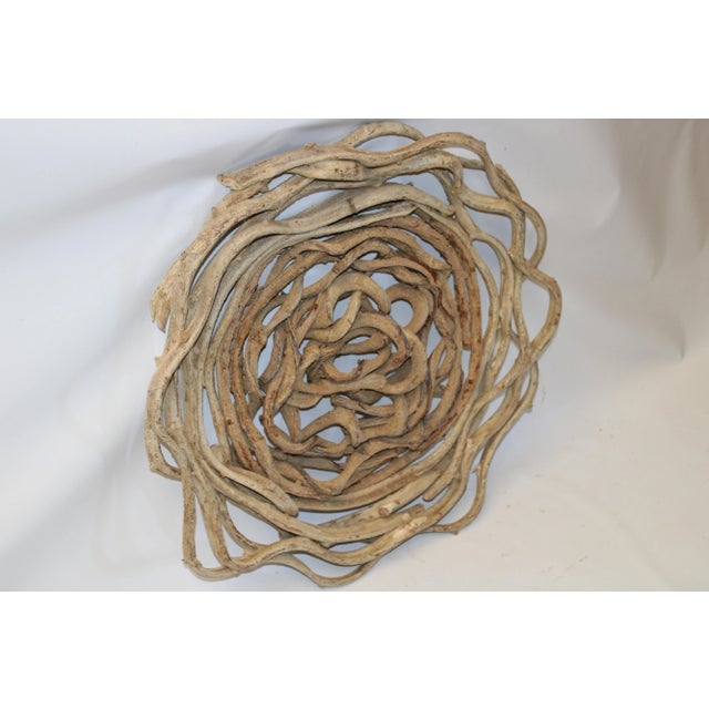 Vine Disc Organic Wall Art Med. B For Sale - Image 12 of 13