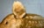 Textile Large Vintage Handmade German Steiff Mohair Dalle Boar Pig Stuffed Animal 23 In. For Sale - Image 7 of 16