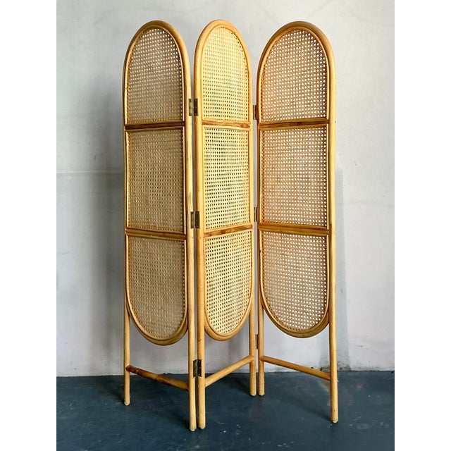 Mid-Century Modern Vintage Boho Arched Cane Folding Screen For Sale - Image 3 of 5