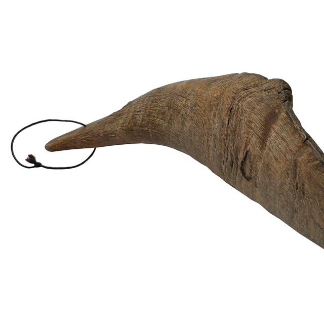 Auburn 18" Rustic Natural Artistic Horn Shape Brush Accent Display For Sale - Image 8 of 8