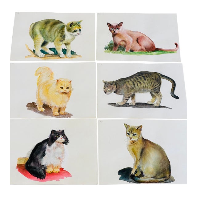 1960s Gorgeous Original Art Cat Pictures - Set of 6 For Sale