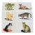 1960s Gorgeous Original Art Cat Pictures - Set of 6 For Sale