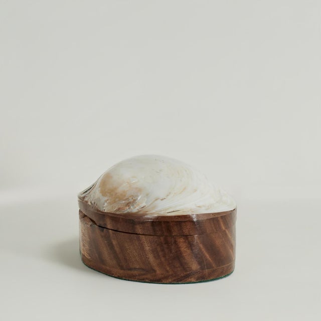 Mid-Century Modern Vintage Seashell Box For Sale - Image 3 of 11