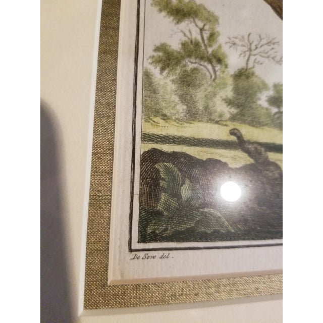 Late 18th Century 18th C Buffon Engravings - a Pair For Sale - Image 11 of 12