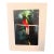 Michael Fogden Signed “Resplendent Quetzal” Costa Rica Wildlife Photograph, 11” × 14” Matted For Sale