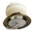 American Vintage Painted Cased Glass Botanical Motif Flushmount Fixture on Old Brass Holder, Circa 1920 For Sale - Image 3 of 4