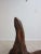 Vintage Free Form Seal Shape Driftwood Sculpture For Sale In Philadelphia - Image 6 of 10