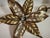 Vintage Brass Flower Wall Lamp by Willy Daro for Massive, Belgium, 1970s For Sale - Image 17 of 18
