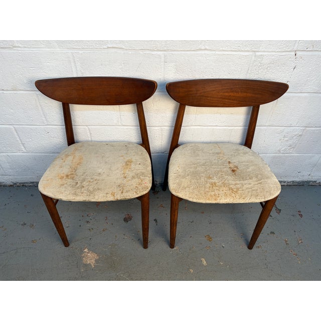 Mid-Century Modern Pair of Model 404-85 Mid-Century Walnut Dinning Chairs Attributed to Stanley Furniture For Sale - Image 3 of 15