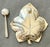 Tiffany sterling silver, Small plate and spoon in hallmarked and signed sterling silver. Plate: 8.2 x 7.8 cm Height:...