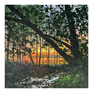 "Sunset Through the Trees" Contemporary Original Impressionist Style Landscape Painting by Deb Bossert