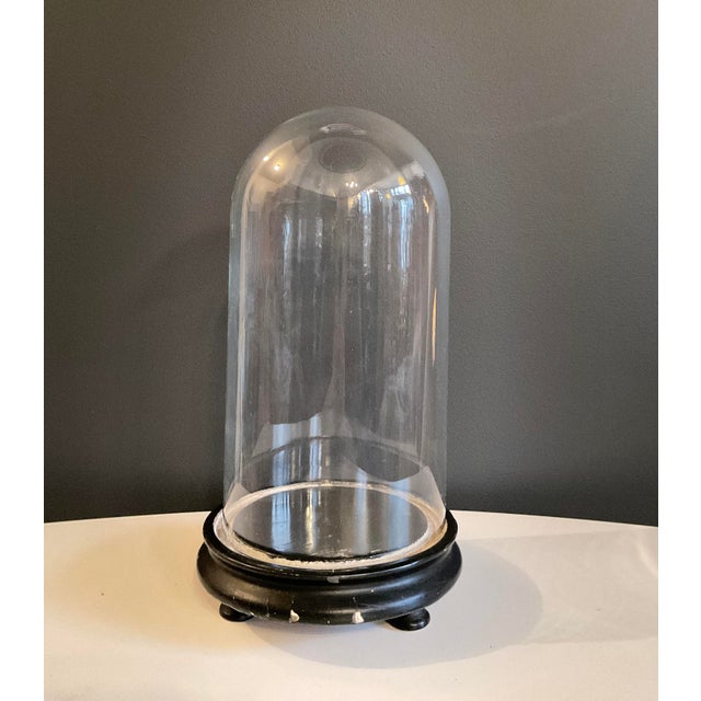 Antique Hand Blown Glass Cloche Dome on Grooved Base | Chairish