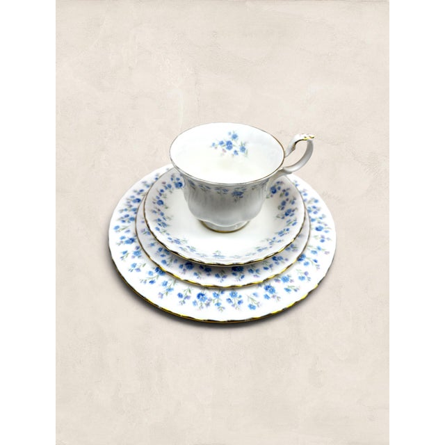 Vintage English Royal Albert Memory Lane Bone China Quartet - Set of Four For Sale In Tampa - Image 6 of 16