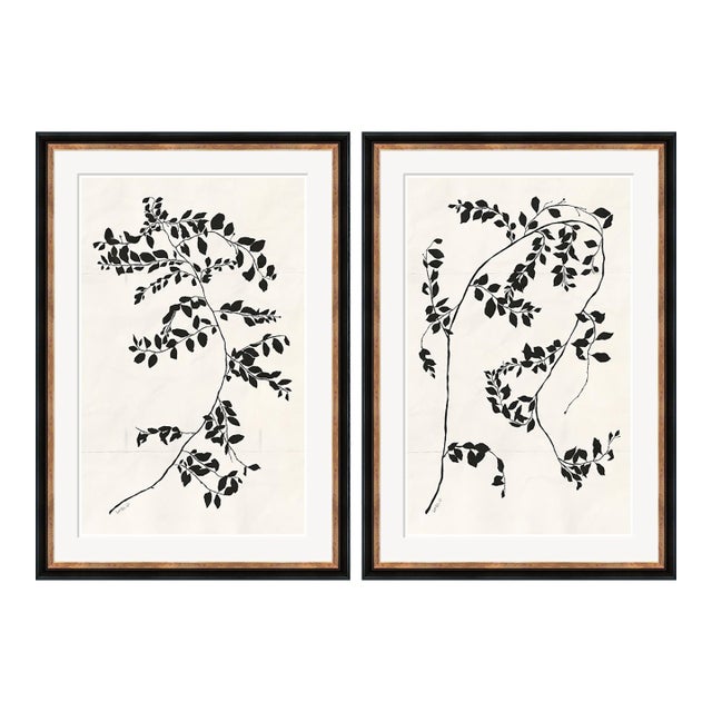 Clematis Vines by Susan Hable For Sale