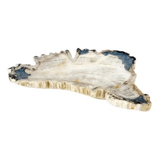 Petrified Wood Antarctica Shape Solid Black & Tanl Bowl Dish Large Plate Ashtray For Sale