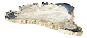 Petrified Wood Antarctica Shape Solid Black & Tanl Bowl Dish Large Plate Ashtray