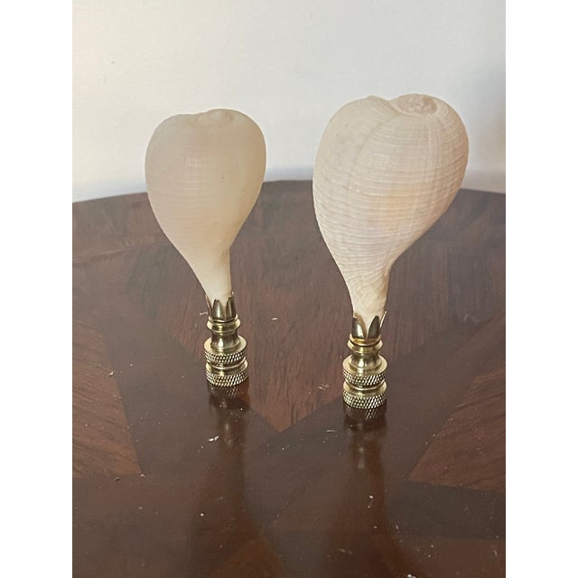 Shabby Chic 1970s Florida Sea Shells Lamp Finials - a Pair For Sale - Image 3 of 5