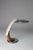 1970s Tiburon Shark Desk Lamp by Luis Perez De La Oliva, Grin, Spain, 1960s For Sale - Image 5 of 13