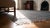 Early 20th Century Indian Cotton Dhurrie Carpet ( 12' x 14'4'' - 366 x 436 ) For Sale - Image 9 of 10