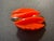 Coro 1960s MCM Jewelry Marked BSK Space-Age Foliate Lucite in Rhodium Plated Clip on Earrings, Pair For Sale - Image 4 of 7