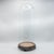 Tall Antique Display Dome, English, Glass, Taxidermy Showcase, Edwardian, c.1905 For Sale - Image 9 of 9
