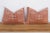 Moroccan Pair of Terracotta Medallion Lumbar Moroccan Silk Pillows For Sale - Image 3 of 6