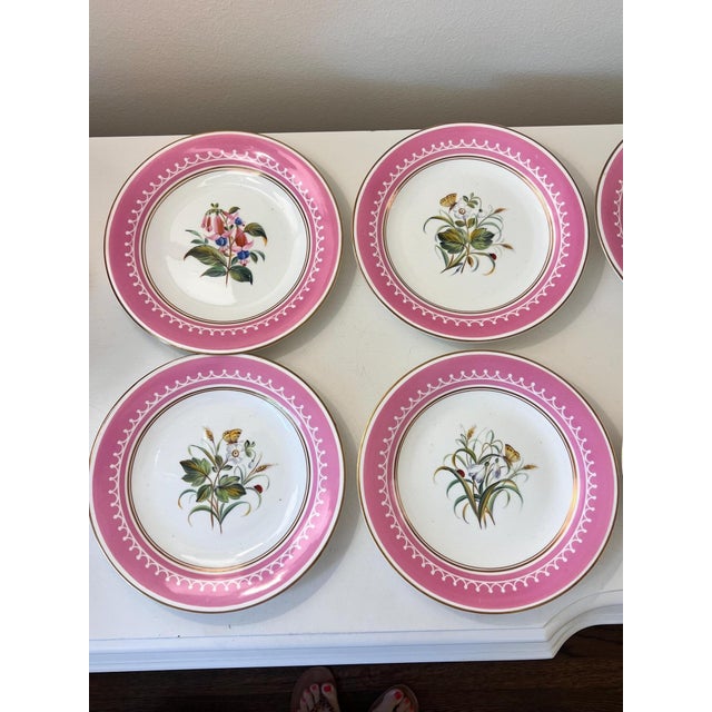 Pink Antique French Pink Old Paris Porcelain hand-painted dessert set with 12 plates and 5 assorted tazzas, porcelain with gilt accents - 17 pcs For Sale - Image 8 of 18