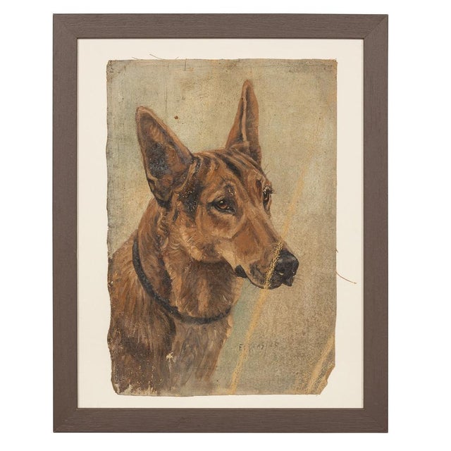 Frederick Thomas Daws, Antique German Shepherd, Oil on Canvas, 1926, Framed For Sale - Image 10 of 10