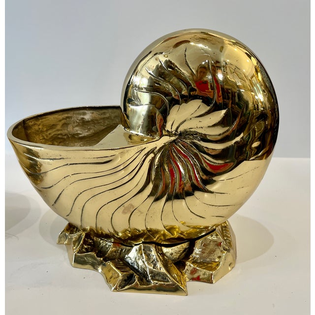Pair of Large Solid Brass Nautilus Shell Bottle Coolers or Planters For Sale In West Palm - Image 6 of 11