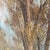Mid-Century Modern Pastoral Forest Landscape Oil Painting - Gilded Frame For Sale - Image 12 of 12