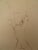 Léonor FINI (1908-1996) Revenge Original etching Signed in pencil Justified as Artist's Proof (EA) On Arches wove paper,...