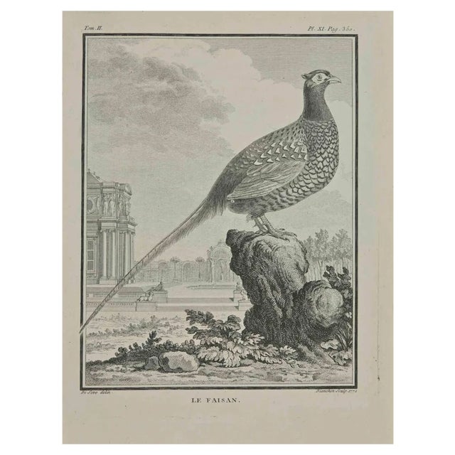 Jacques Blanchon, Le Faisan, Etching, 1771 For Sale