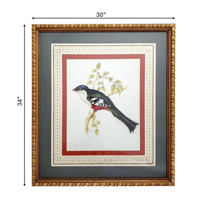 Mid-Century Modern Print Large Bird Reproduction Signed John-Richards For Sale - Image 3 of 11