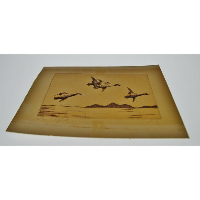 Early Signed Engraving - in Flight | Chairish