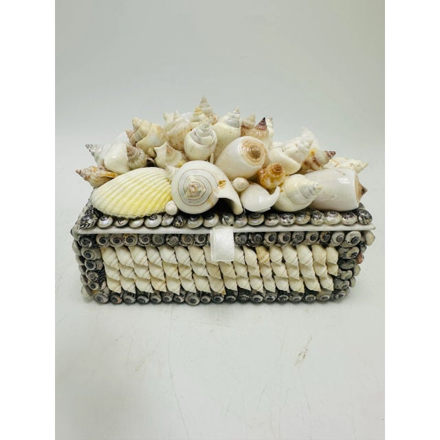 Vintage Shell Box For Sale - Image 4 of 9