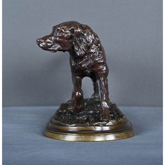 P-J. Mêne, Spaniel on Point, Mid-19th Century, Bronze For Sale - Image 10 of 17