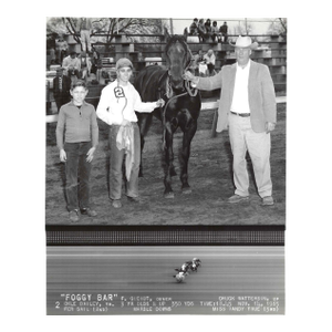 1965 Equestrian Winner's Circle Photograph of Foggy Bar