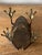 Vintage Mid-Century Large Brass Frog Figurine For Sale - Image 9 of 9