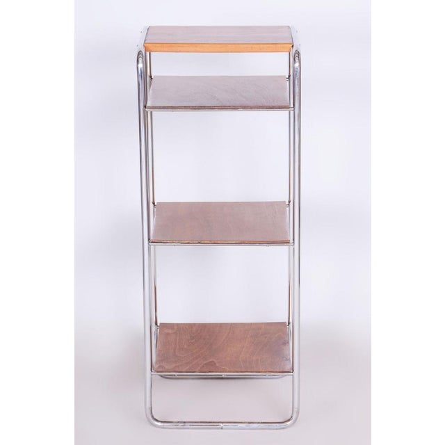 Bauhaus Shelf in Oak and Chrome attributed to Marcel Breuer for Slezak, Former Czechoslovakia, 1930s For Sale - Image 9 of 10