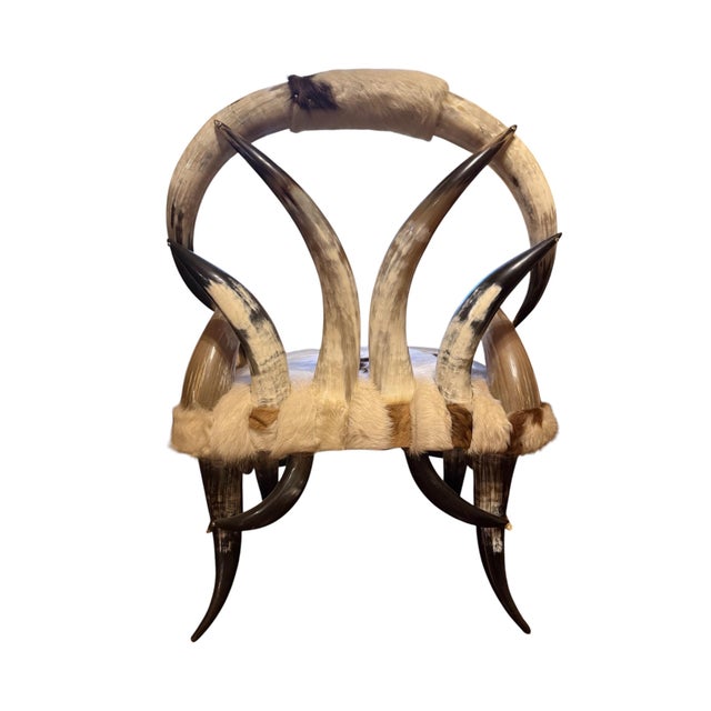Cattle Horn Cowhide Chair For Sale - Image 4 of 4