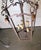 Edmond Louyot (b.1861-d.1920), French Monumental French Style Mid-Century Wrought Iron 5 Light Lantern/Chandelier For Sale - Image 4 of 5
